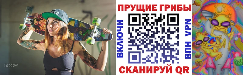 Псилоцибиновые грибы прущие грибы  mega ССЫЛКА  Пролетарск  закладки 